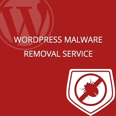 Malware Removal Service
