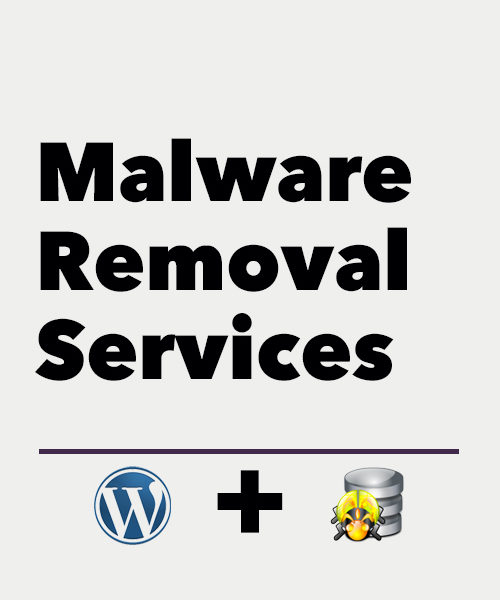 Malware Removal Service